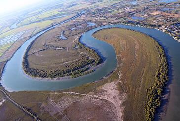 Petit Rhône, Camargue © Etienne Pierart